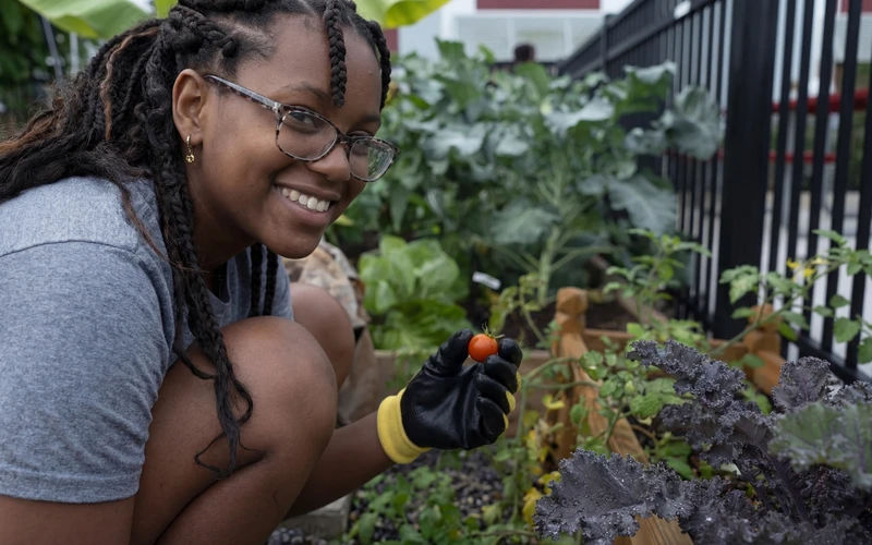 A Central Florida Prep student harvesting in the school garden